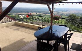 Vue panoramique sur le vignoble